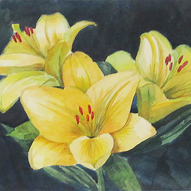 Желтые лилии