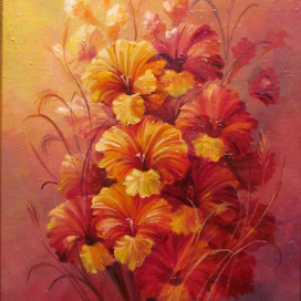 Гладиолусы