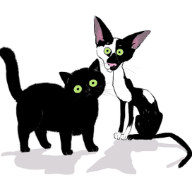 Жирность и Обезжиренность