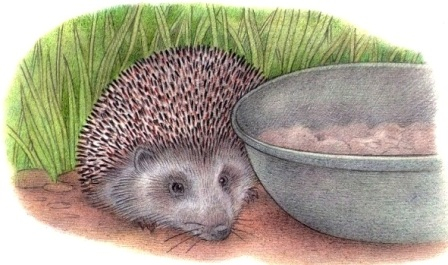 Заманчивая миска