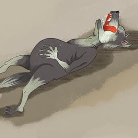 Волк после обеда