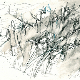 С.Новиков. "Туман в Ялте"