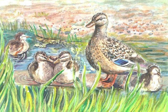 утиная семья