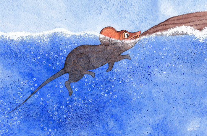 Мышонок Пик. Иллюстрации для учебника.