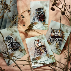 Открытки с совами 