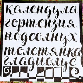 Любимые растения