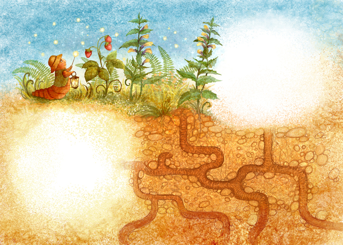 Червячок зажигает звезды