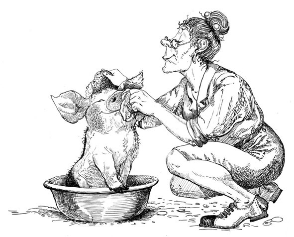 Паутинка шарлотты