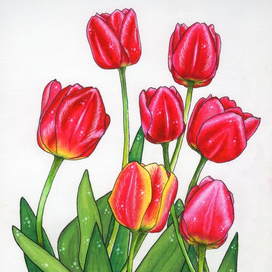 Пахнущие цветы