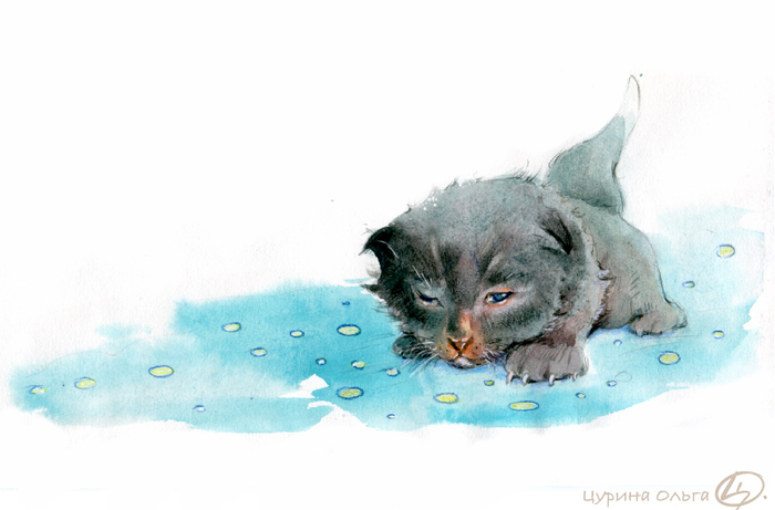 Черныш открывает глазки