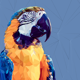 Low poly Parrot