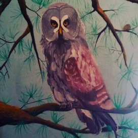 Сова бородатая Ниасать.