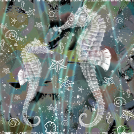 Морские коньки