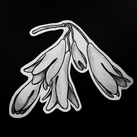 Цветы в графике