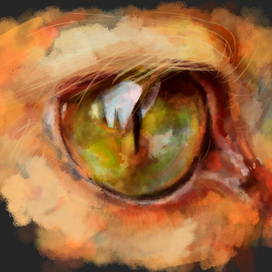 Кошачий глаз