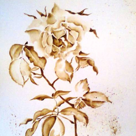 Вчерашняя роза