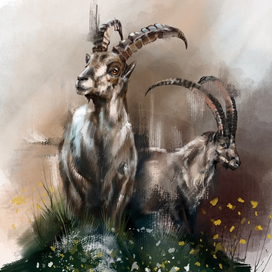 Горные козлы