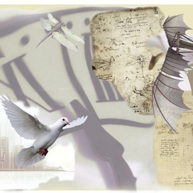 баннер для в-ки "Конструктор - природа"