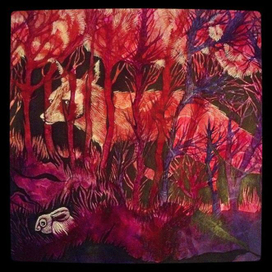 Лиса из красного леса