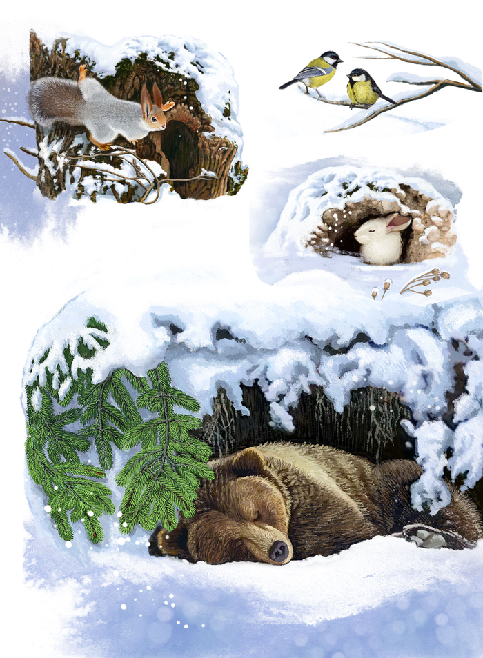 Иллюстрации к сборнику стихотворений Анжелы Снежковой "Чудеса живут повсюду"