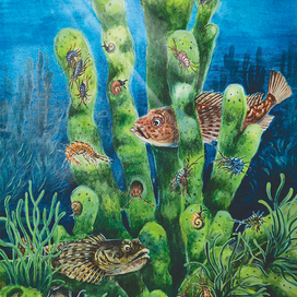 Подводный дом - байкальская губка