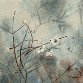 Снежноягодник