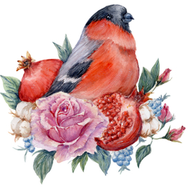 Снегирь с цветами розами и гранатами