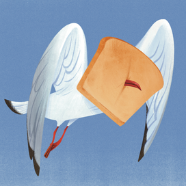 У меня есть тост!