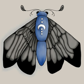 Бабочка сновидений 