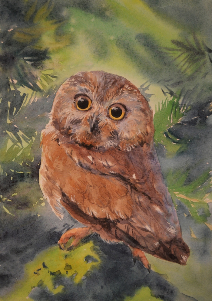 воробьиный сычик