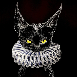 Черная кошка в жабо 