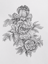 Peonies