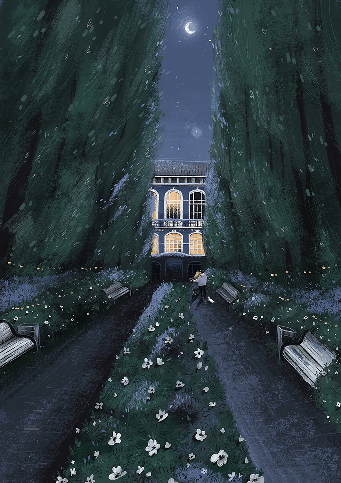 Тёплая ночь.