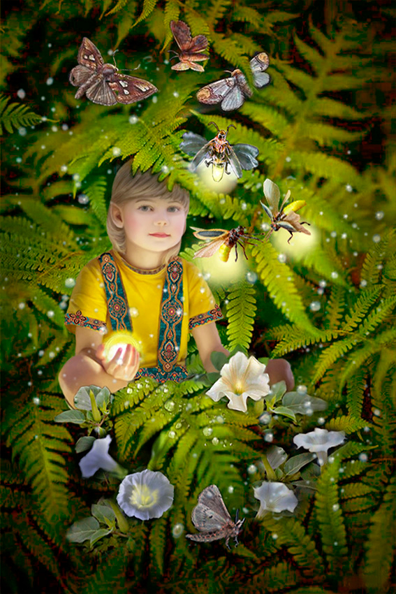 Сказка летней ночи