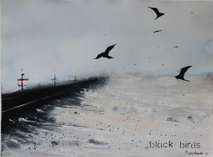 Black birds