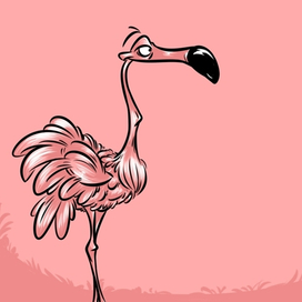 Розовый фламинго