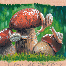 Три улитки, три гриба