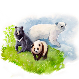 "Кто самый главный в лесу?"