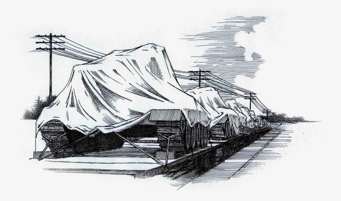 Живые и мёртвые. Последнее лето. Глава 15.