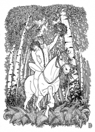 После Купалы  (серия «Славянская эротика»)