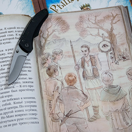 Иллюстрация к книге "Рыцарский меч"