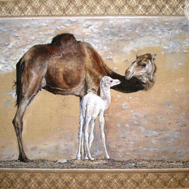 верблюдик с мамой