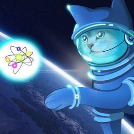 Котик и атом