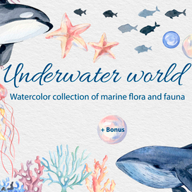 Морская коллекция 