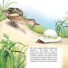 Иллюстрация Бианки