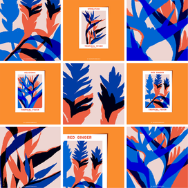 Разработка серии открыток