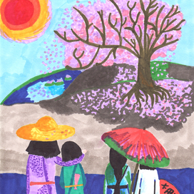 Цветение сакуры