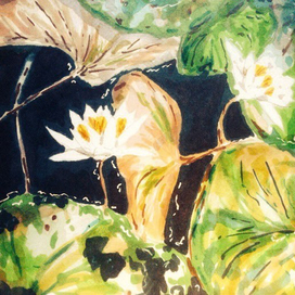 Старый пруд