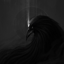 Crow