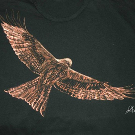 Парящий коршун